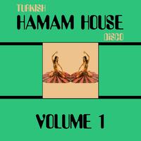 Turkish Hamam House Disco, Vol. 1