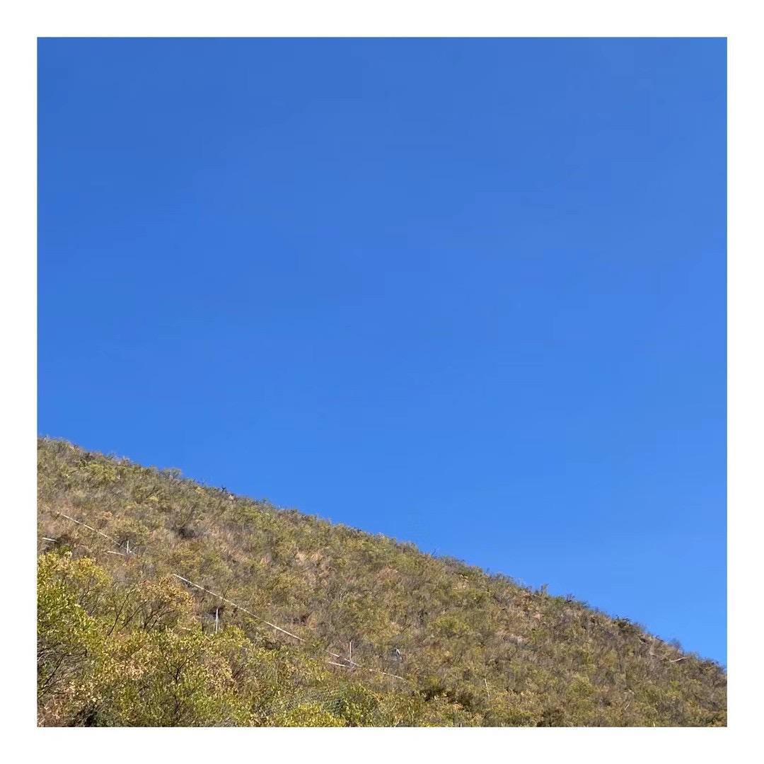 Good Vibes Only（demo）