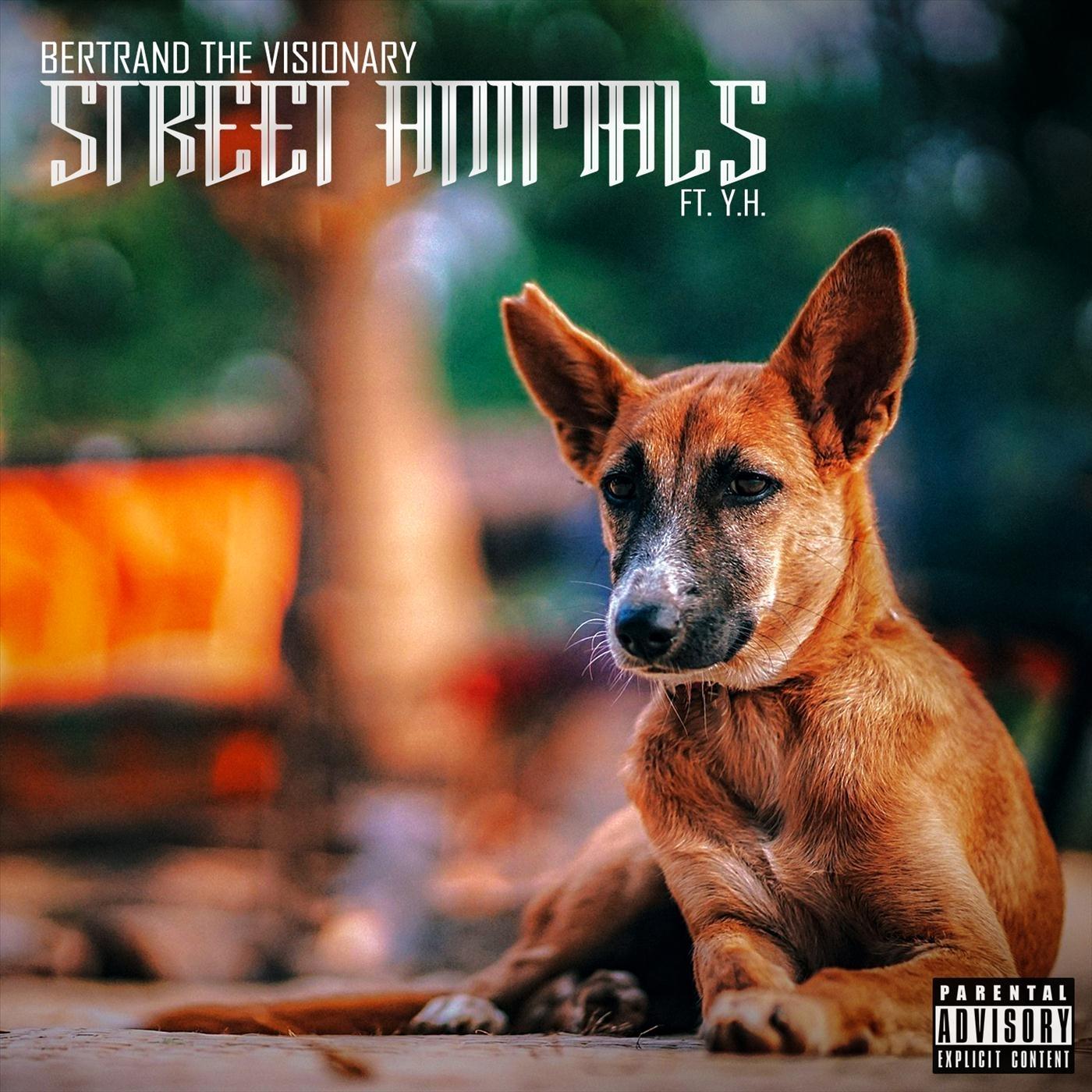 Street Animals (feat. Y.H.)