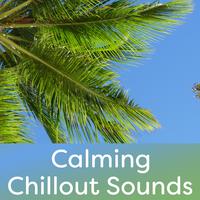 Calming Chillout Sounds – Stress Relief, Chill Out Music, Easy Listening, Calm Music to Rest