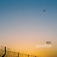 Goodbye