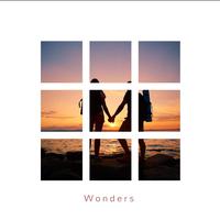 Wonders (feat. Jacob LaVallee, Franz Gordon & Moux)