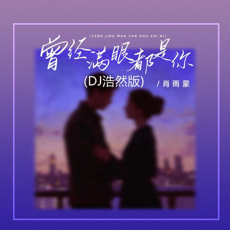 曾经满眼都是你 (DJ浩然版)封面