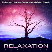 Relaxation Playlist: Relaxing Nature Sounds and Calm Music For Spa, Massage, Yoga, Meditation, Studying, Reading, Focus, Concentration, Stress Relief and Soothing Background Music With Nature Sounds