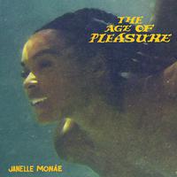 The Age of Pleasure