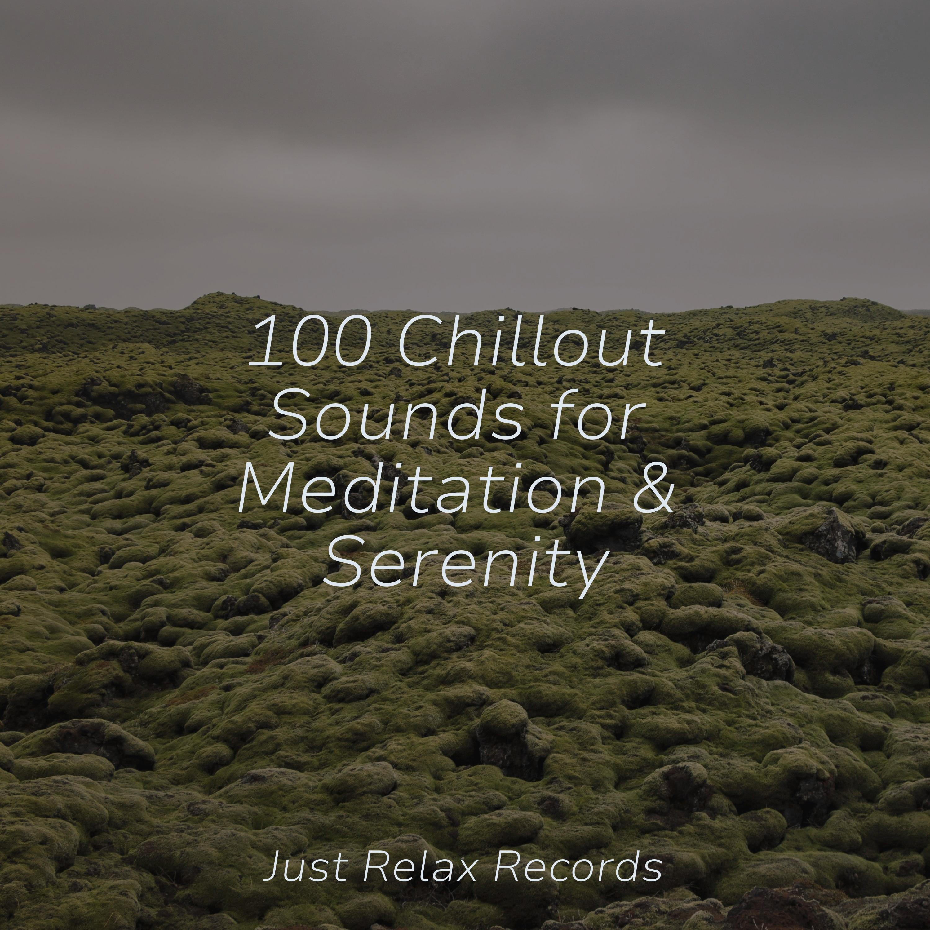 100 Chillout Sounds for Meditation Serenity Música ambiental