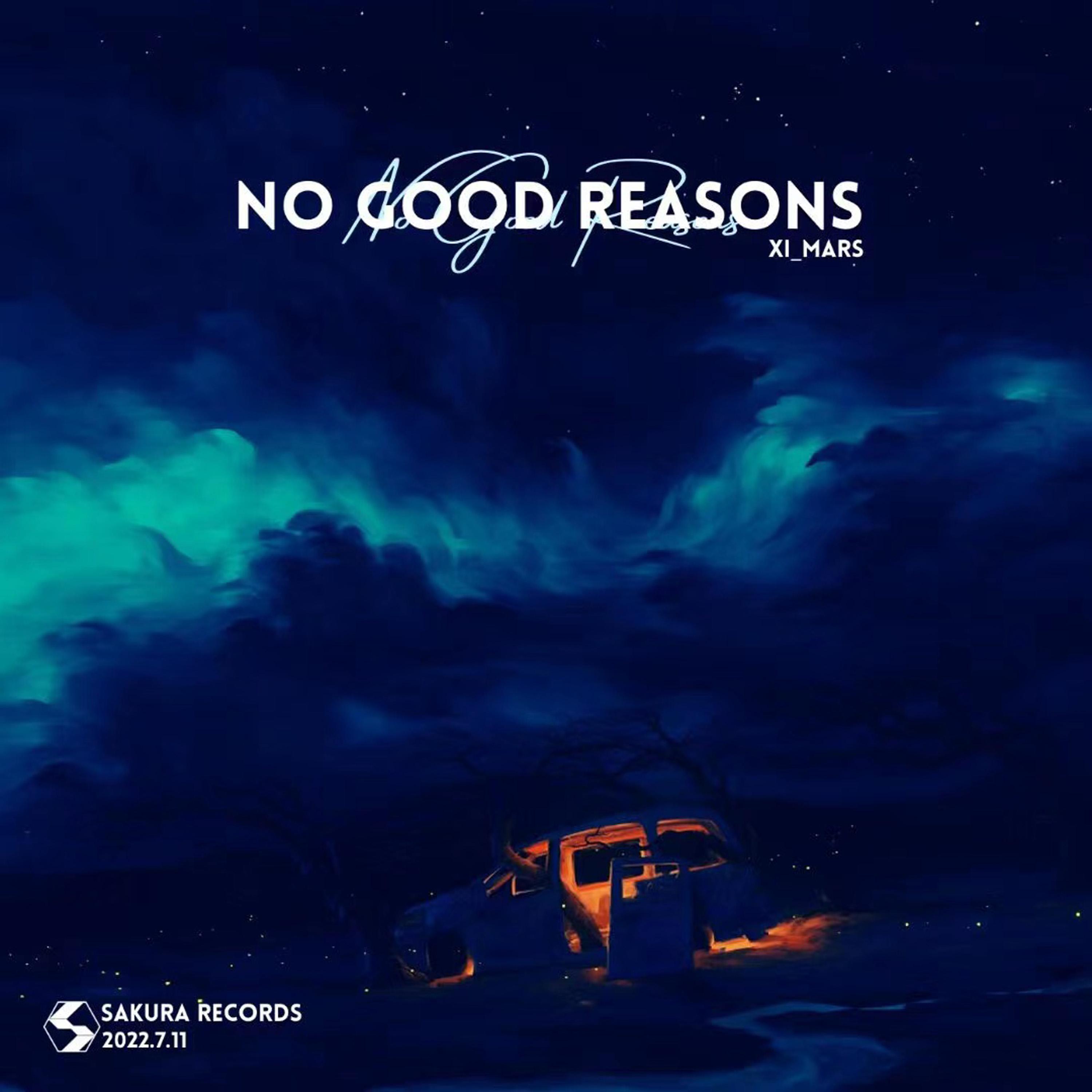 No Good Reasons