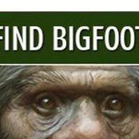 Bigfoot