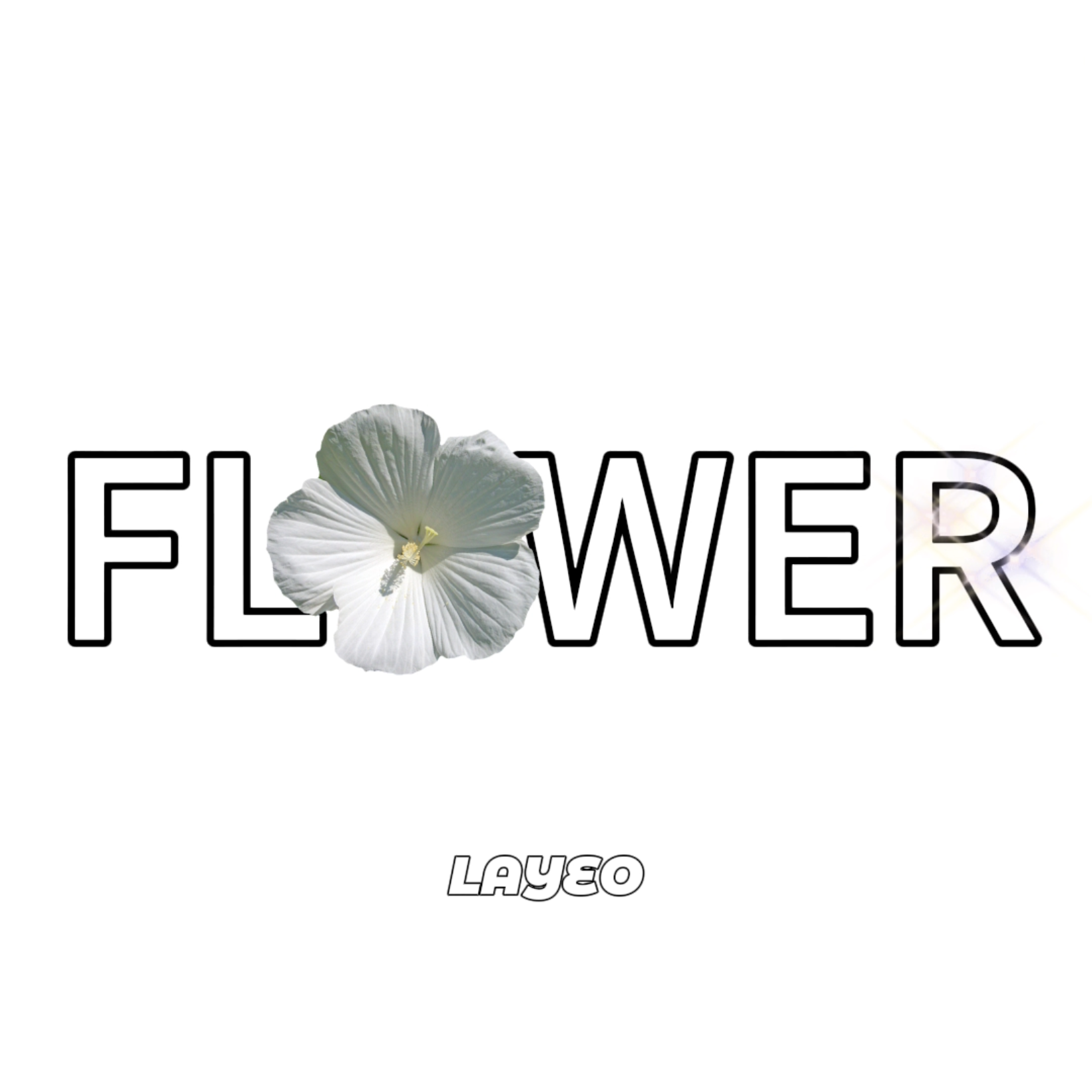 꽃 (FLOWER)封面