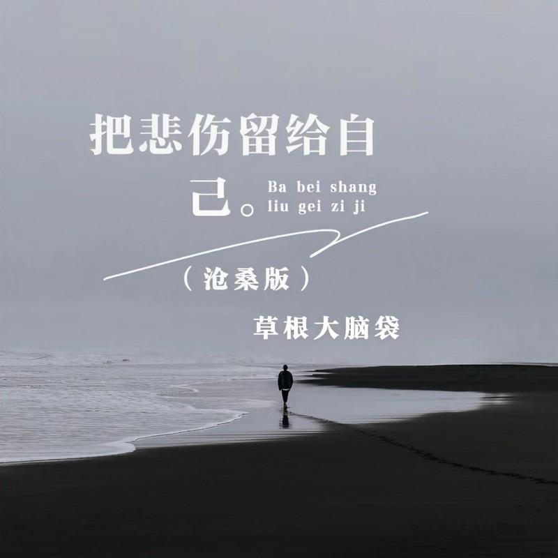 把悲伤留给自己 (沧桑版)封面