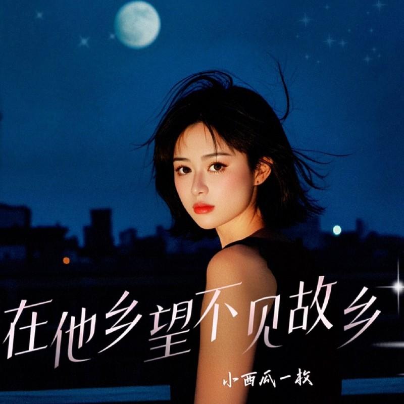 他乡望不见故乡封面