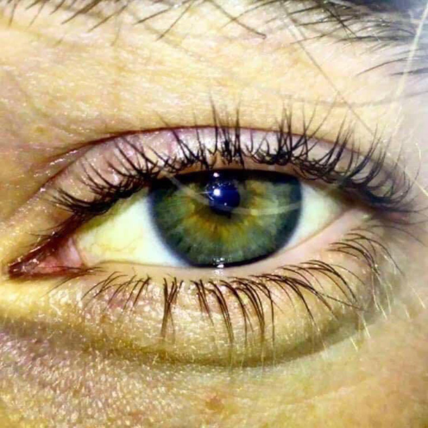 La Vie Ne Ment Past_Nick Shatirishvili_La Vie Ne Ment Past | 在线播放_La Vie Ne Ment Past歌词_La Vie Ne Ment Past下载 | 网易云音乐