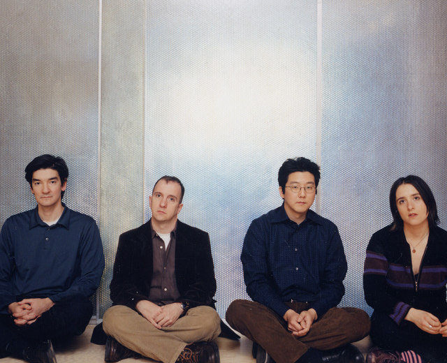 The Magnetic Fields