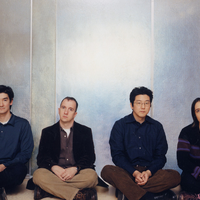 The Magnetic Fields