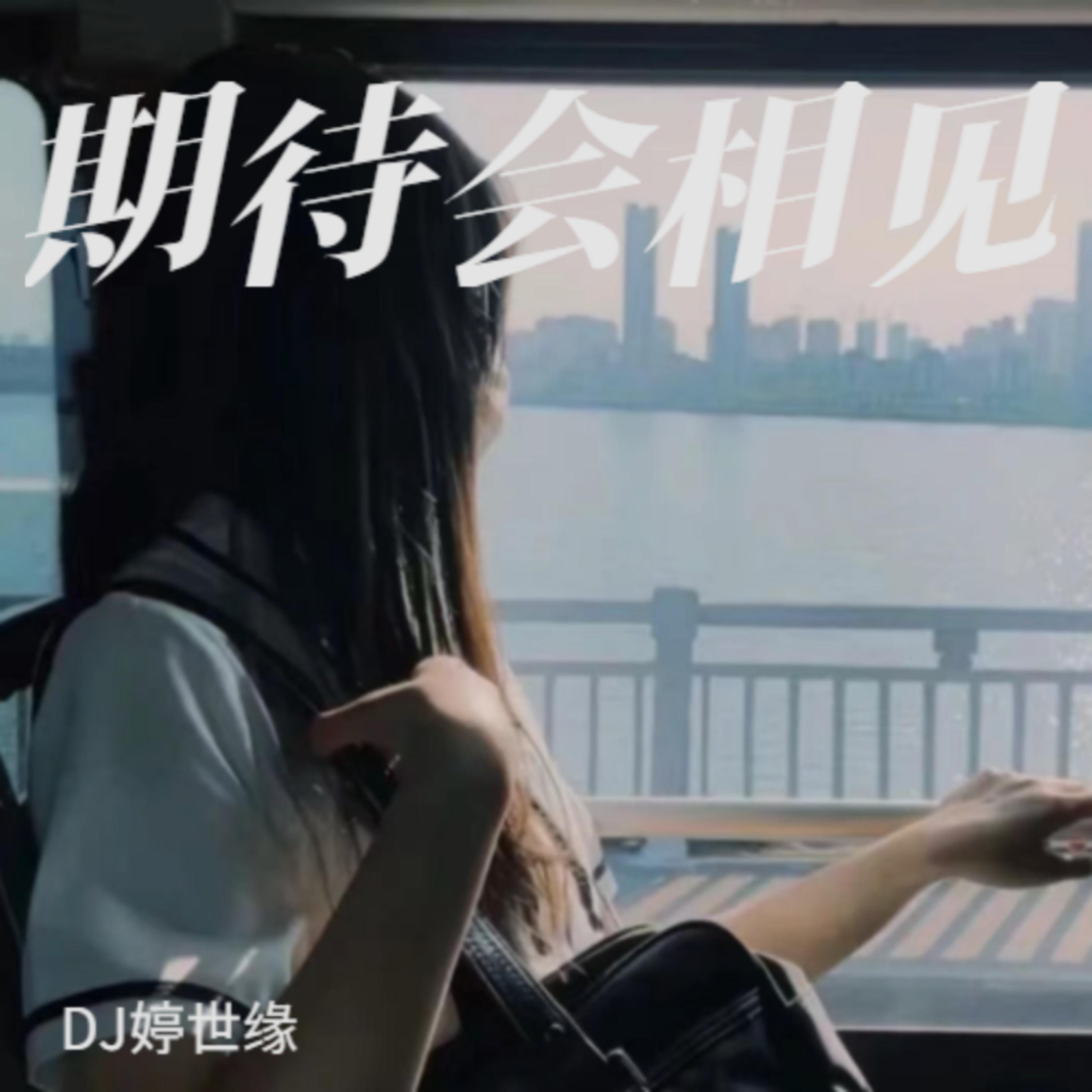 都是自顾自的往前 (Remix)封面