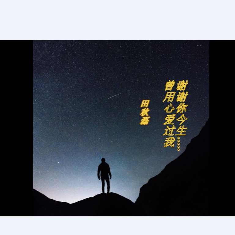谢谢你今生曾用心爱过我封面
