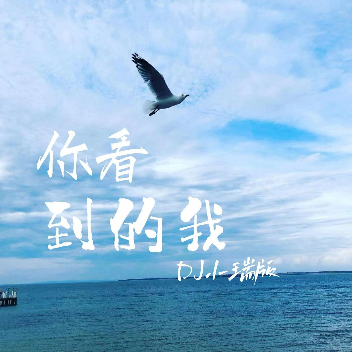 你看到的我 (DJ版) - 小瑞封面