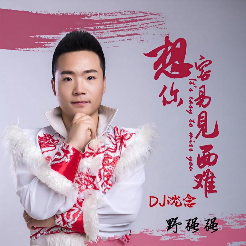 想你容易见面难 (DJ沈念版)封面