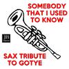 Mr. Saxobeat - Somebody That I Used to Know (Sax Tribute to Gotye)