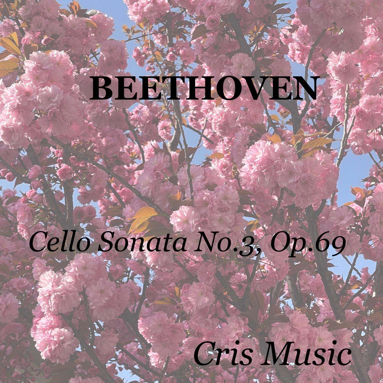 Beethoven: Cello Sonata No.3, Op.69: IV. Allegro vivace