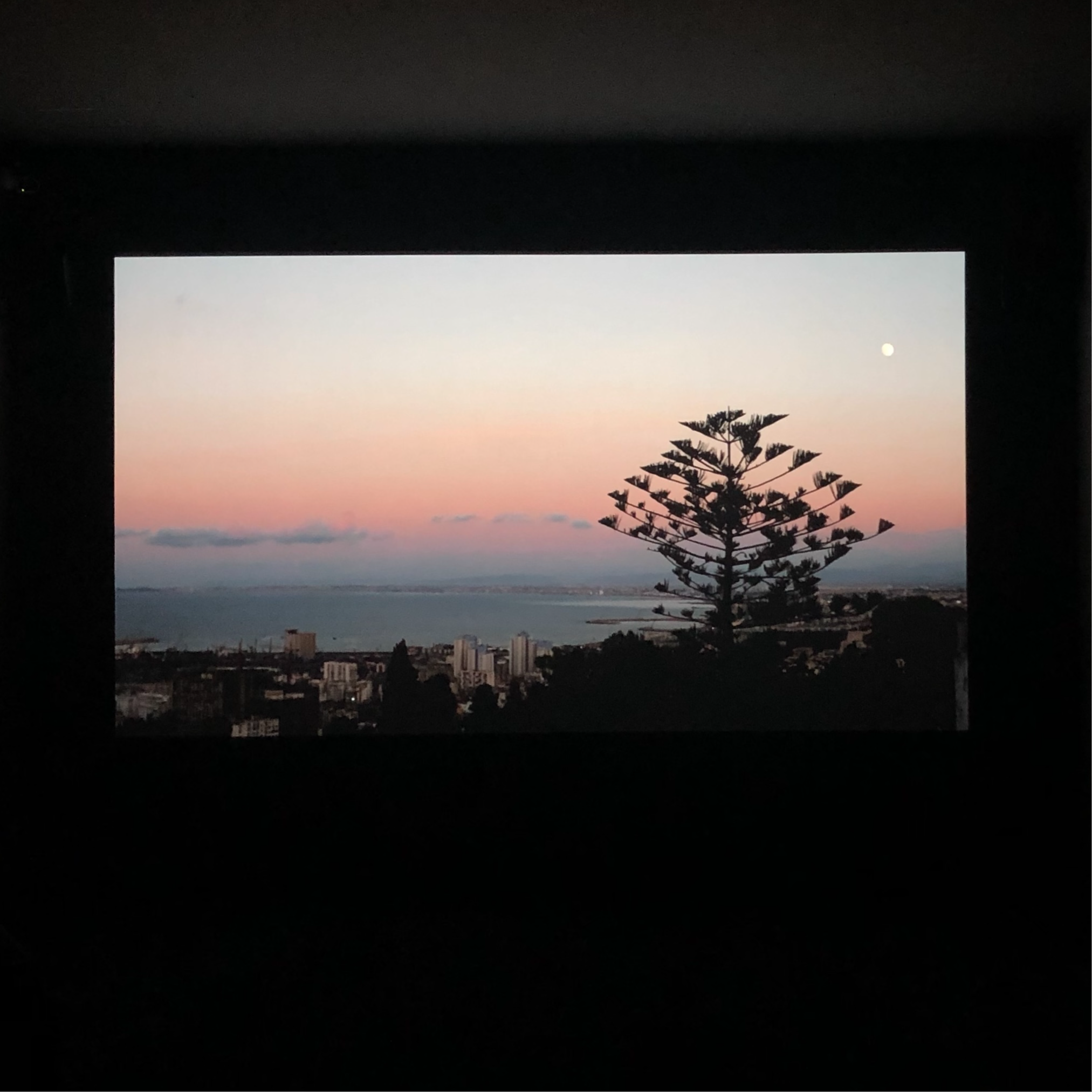 我们都在爱情里少一点天分