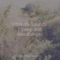 Ultimate Sounds | Sleep and Mindfulness