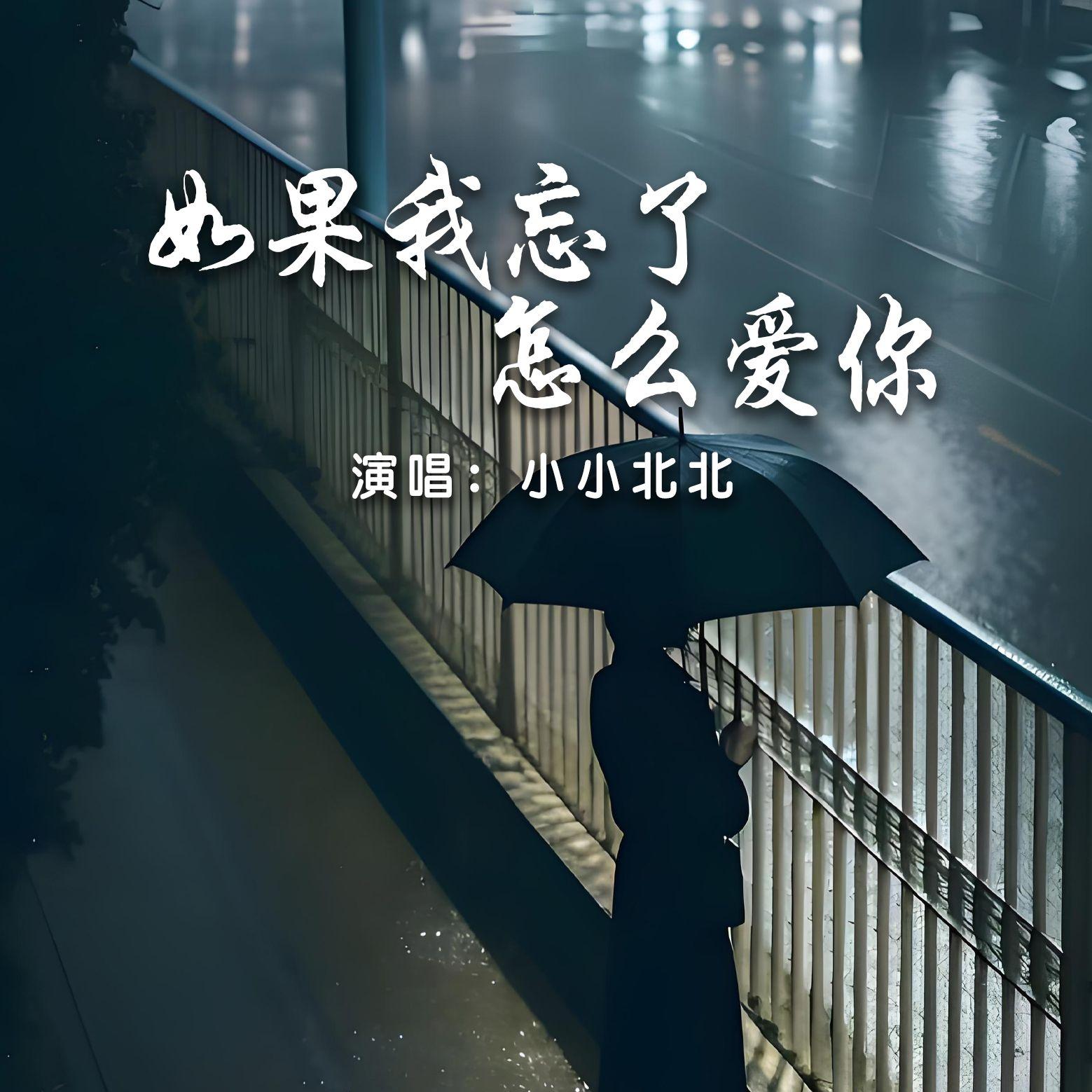 如果我忘了怎么爱你