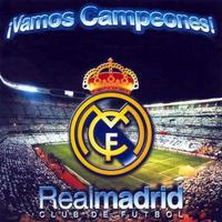 Vamos Campeones