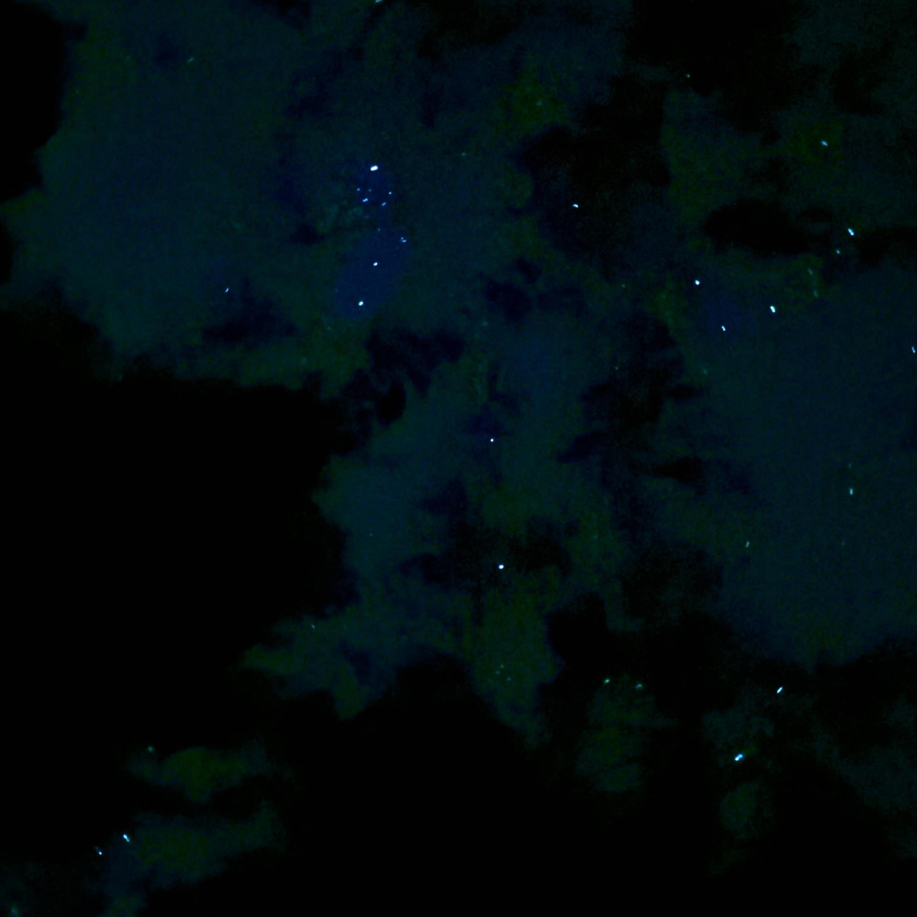 Synth Riot (feat. 5hyguy42)