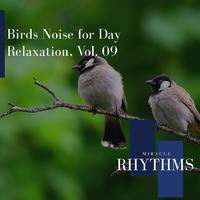 Birds Noise For Day Relaxation, Vol. 09