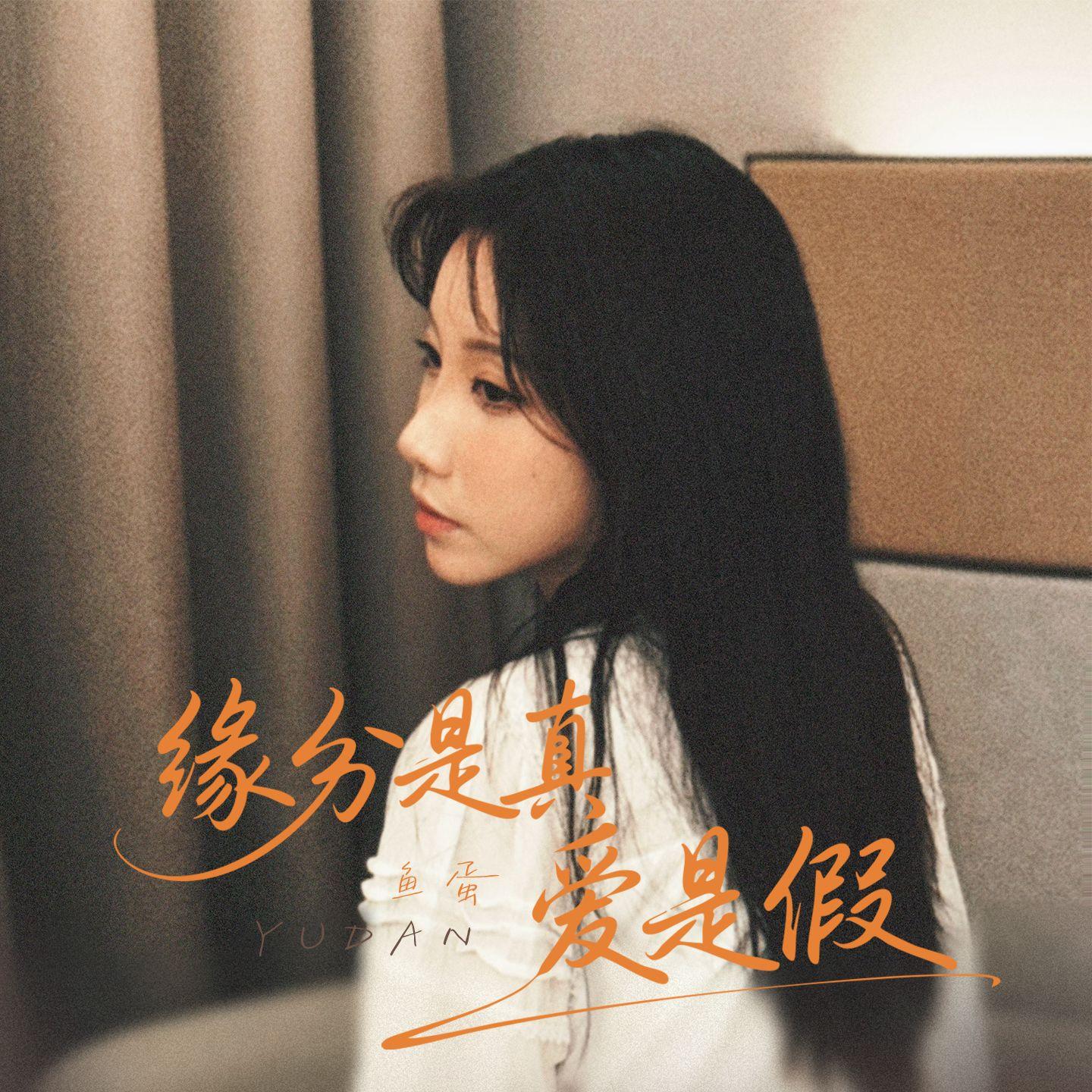 缘分是真爱是假封面