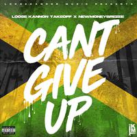 Cant give up (feat. New Money Brezee)