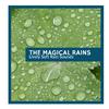 Rain Roots Nature Music - Delicate Rain Aftermath