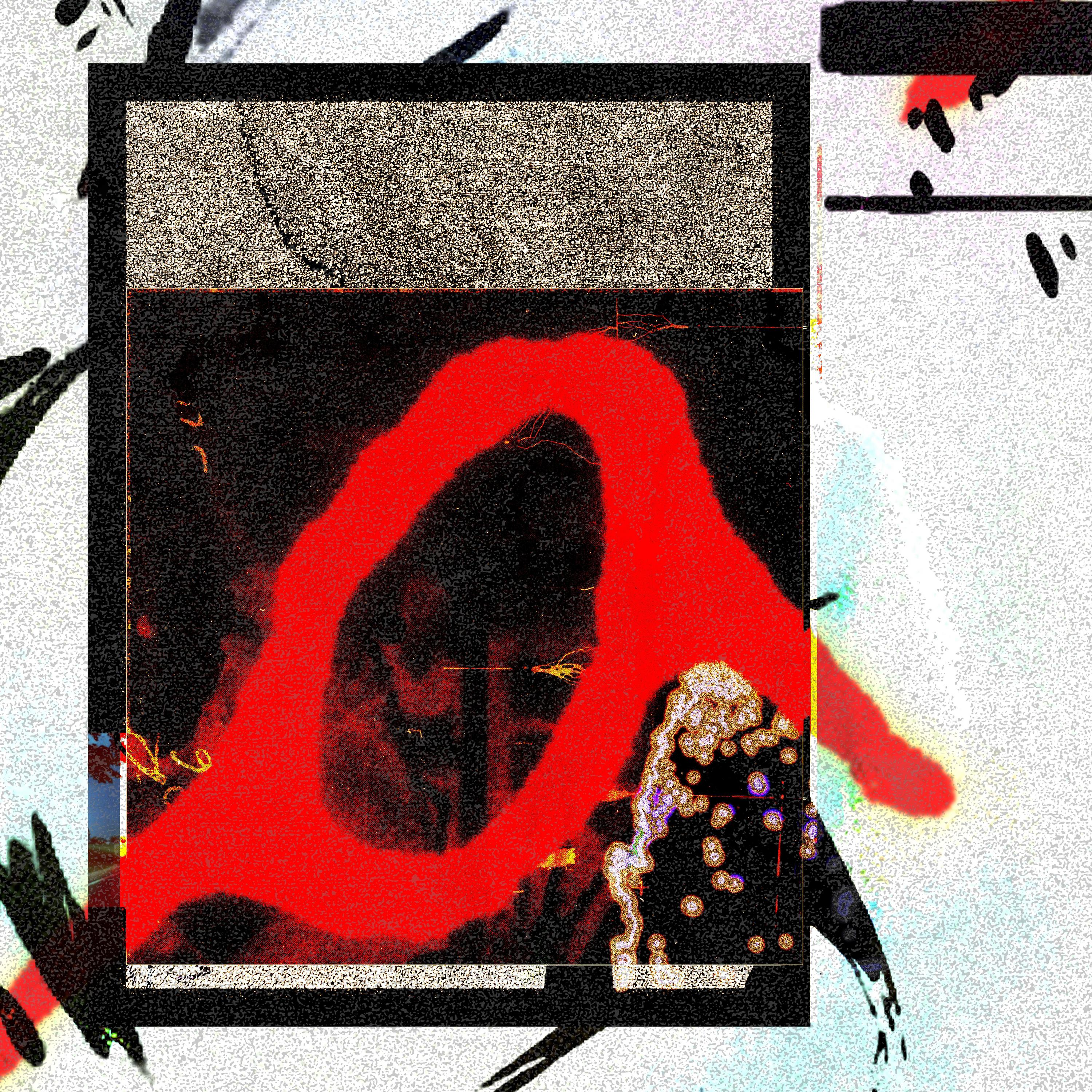 Godspeed (Novo Amor Remix)