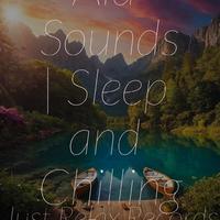 Meditation Relaxation Club - Moonlit Memories Among Trees