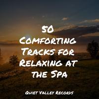 50 Comforting Tracks for Relaxing at the Spa