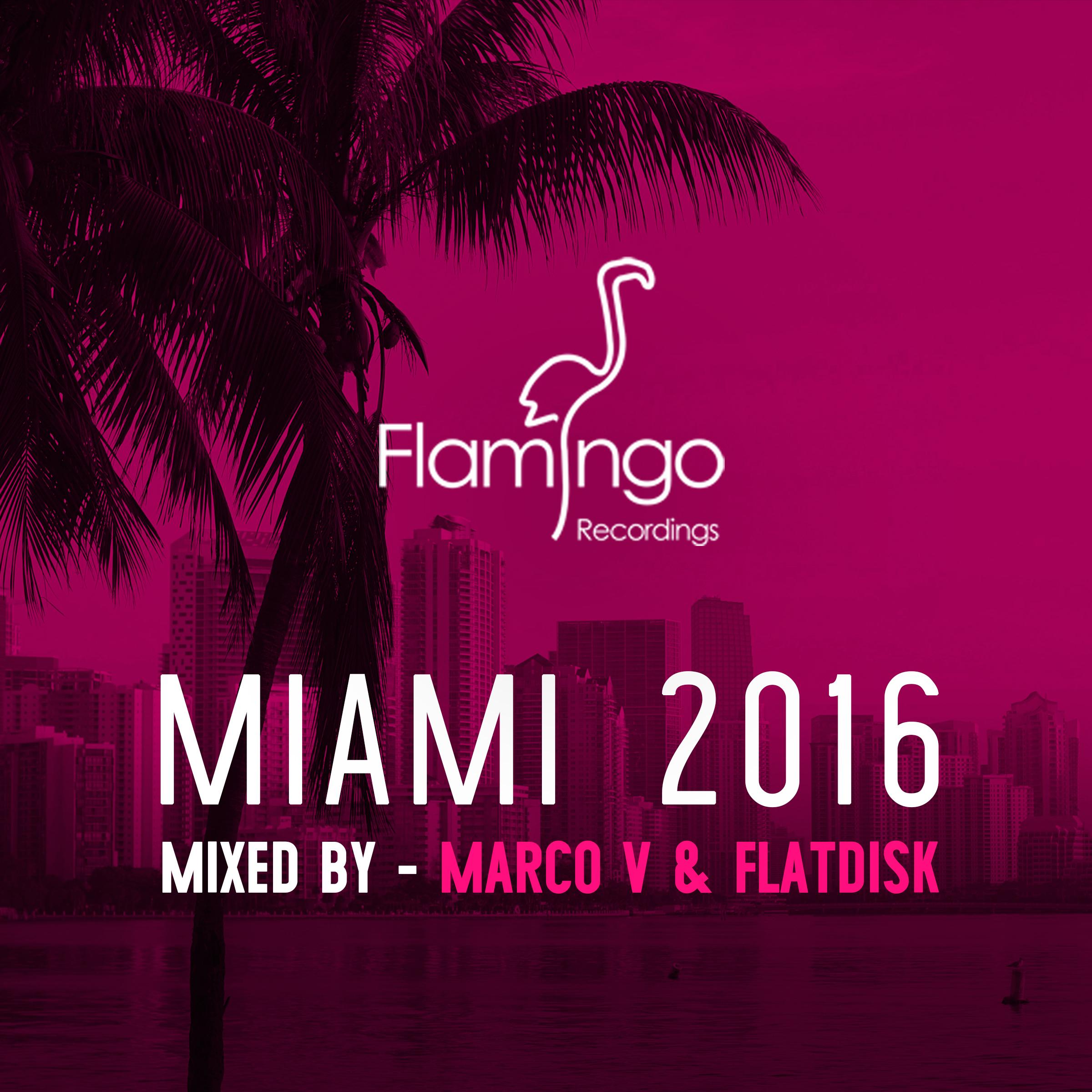 Flamingo Miami 2016 (Continuous Mix By Marco V)