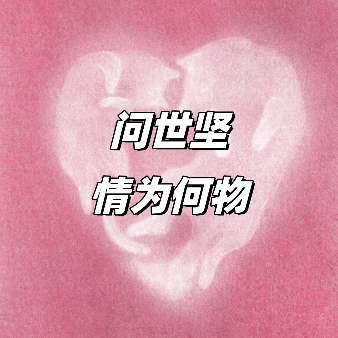 問世堅情為何物 banner