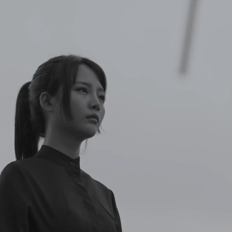 尚好的青春封面