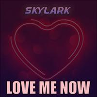 Love Me Now (Radio Edit)