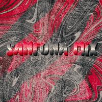 Sanfona Mix (Remix)