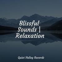 Blissful Sounds | Relaxation