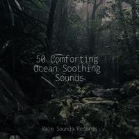 50 Comforting Ocean Soothing Sounds