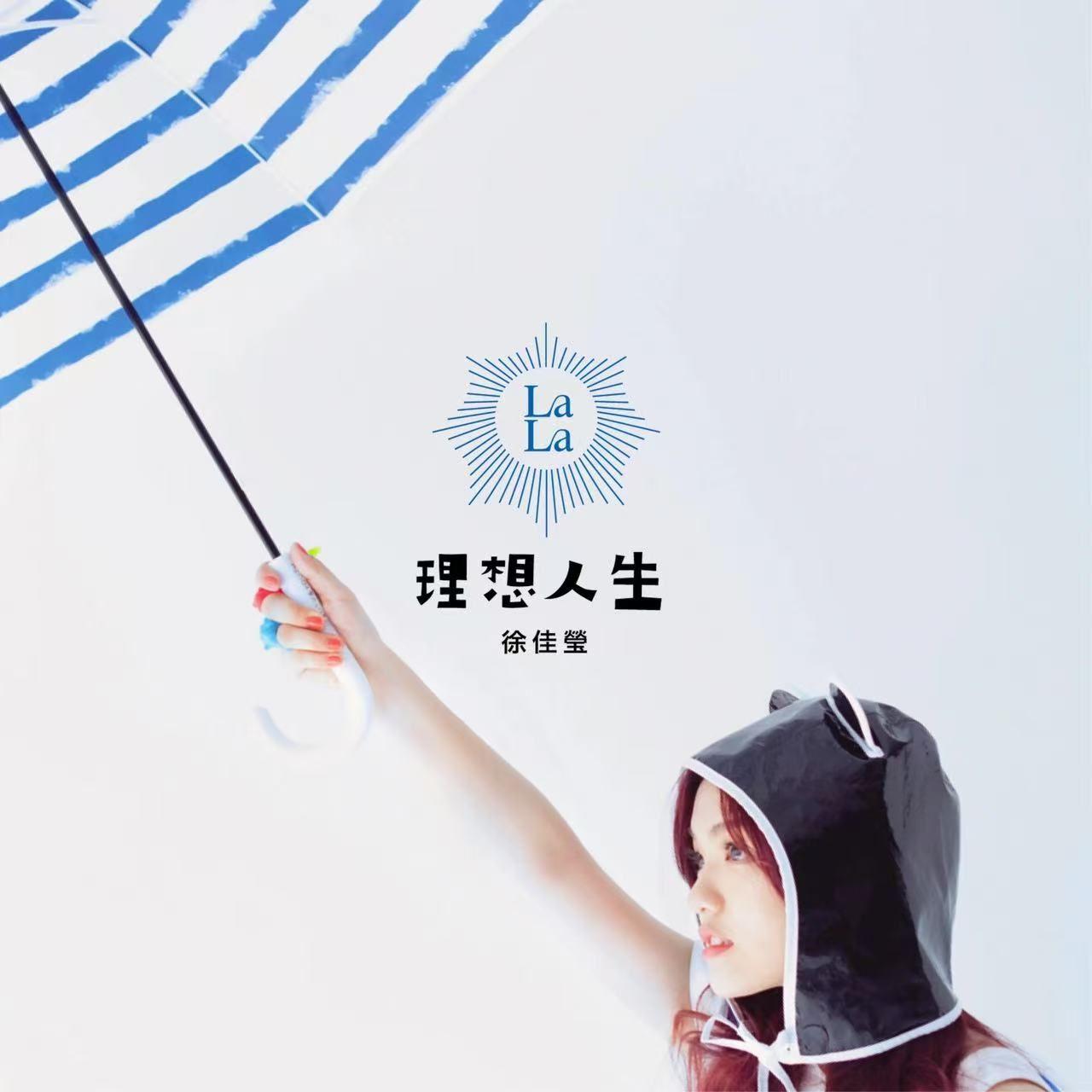 理想人生封面