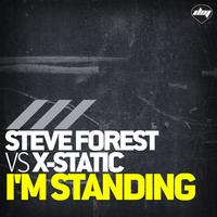 I'M Standing (The Remixes)