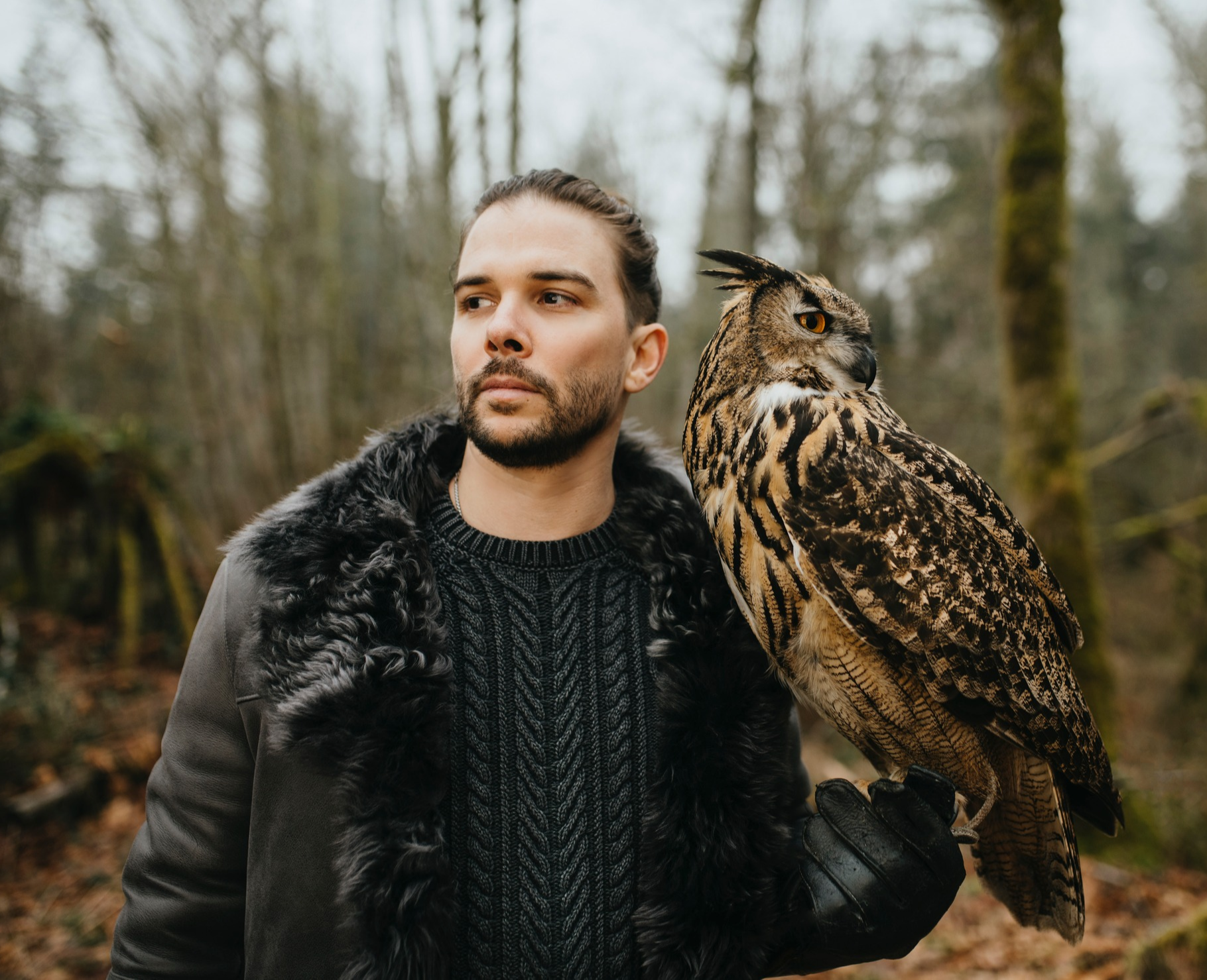 Seven Lions