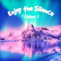 Enjoy the Silence, Vol. 3