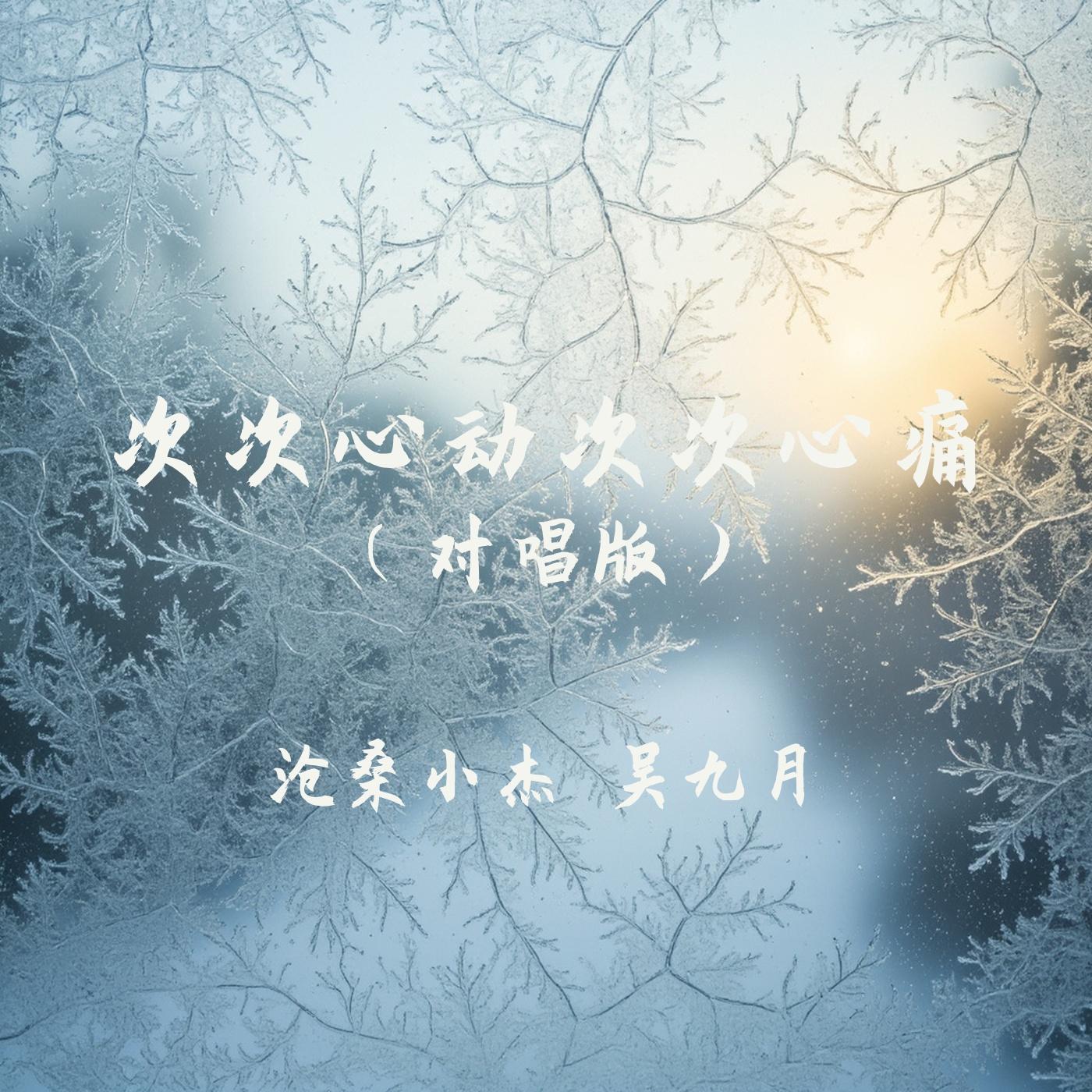 次次心动次次心痛(对唱版)封面