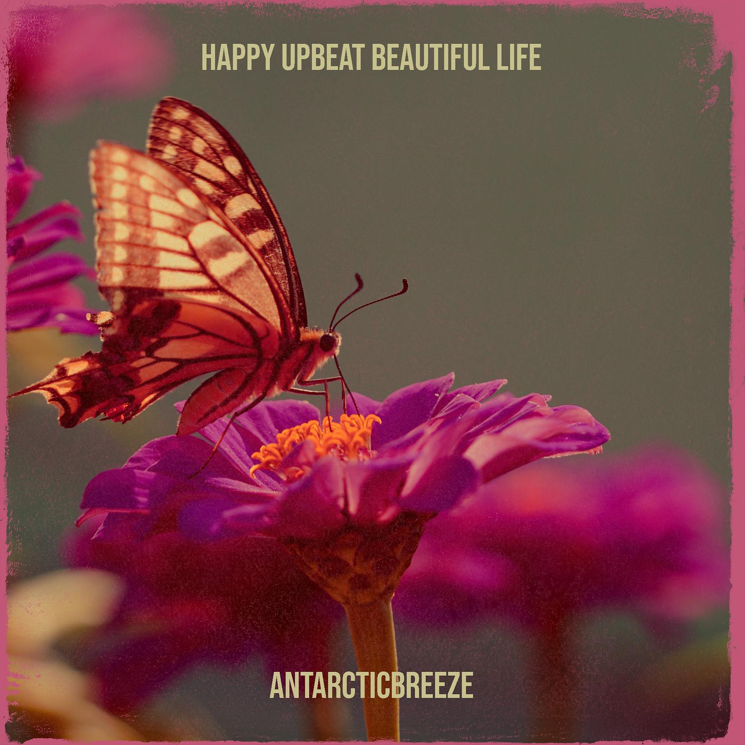 Happy Upbeat Beautiful Life