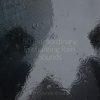 50 Extraordinary Enchanting Rain Sounds